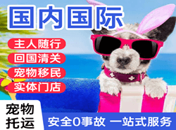 东河机场货运国际宠物托运 【国